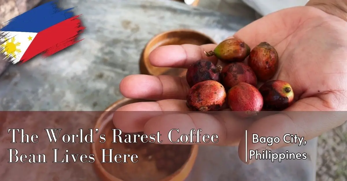 A close-up of ripe Liberica coffee cherries held in a person’s hand, with a blurred background of wooden bowls. The image includes text overlay stating, "The World’s Rarest Coffee Bean Lives Here | Bago City, Philippines," along with a stylized Philippine flag graphic.
