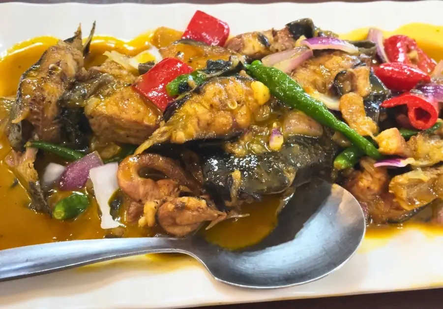 Ginataang hito catfish cooked in coconut milk with peppers.